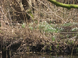 Gerisch-Skulpturenpark